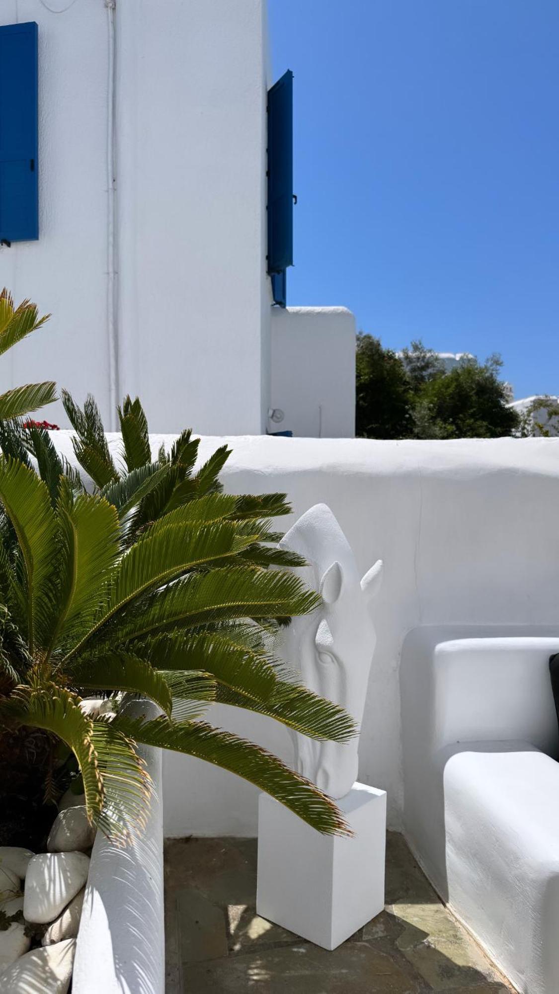 Apartmán Enso Mykonos Living Mykonos Town Exteriér fotografie